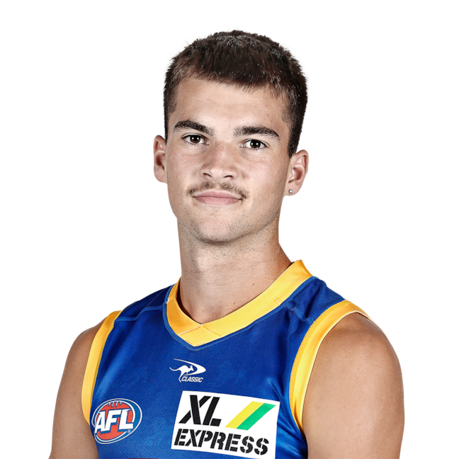 Darcy Wilmot profile picture